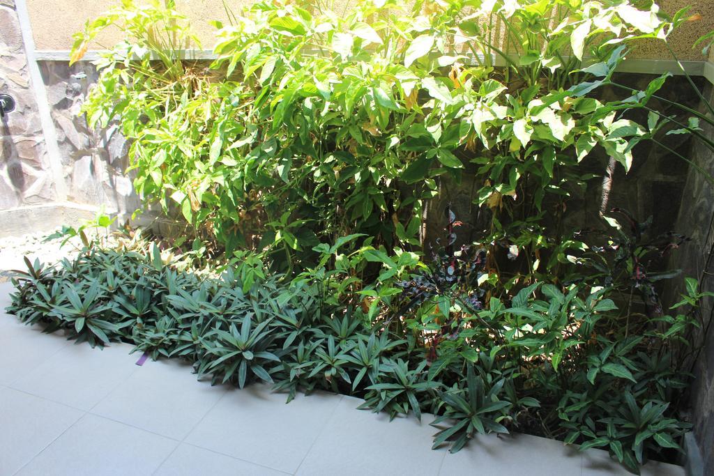 Magus Homestay ペムテラン エクステリア 写真